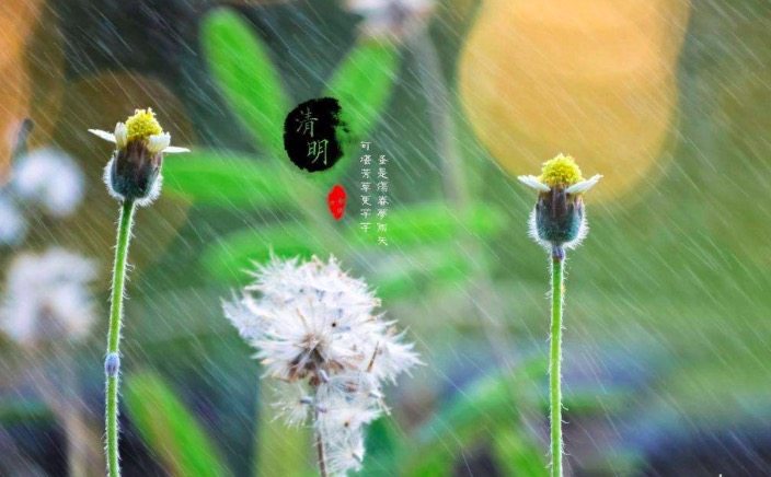 清明的古诗的意思（清明古诗的意思及赏析）