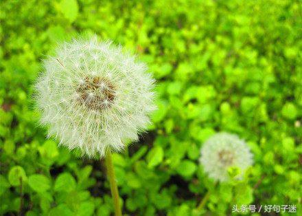 看淡人生感悟的句子经典（16条感悟人生的经典句子）