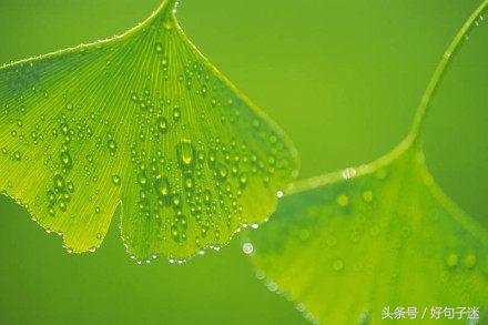 看淡人生感悟的句子经典（16条感悟人生的经典句子）