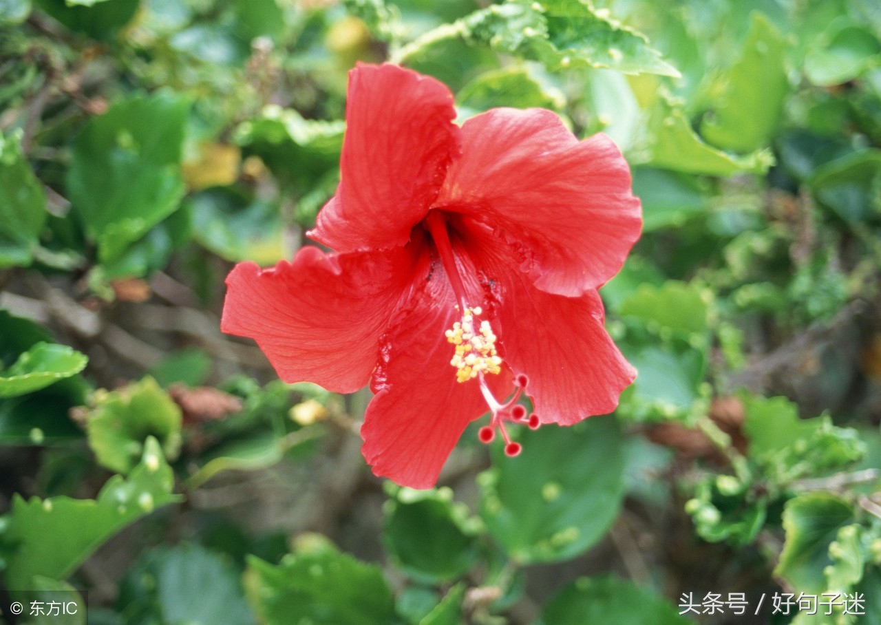 送别词语大全送同事（同事送别的话一路顺风）