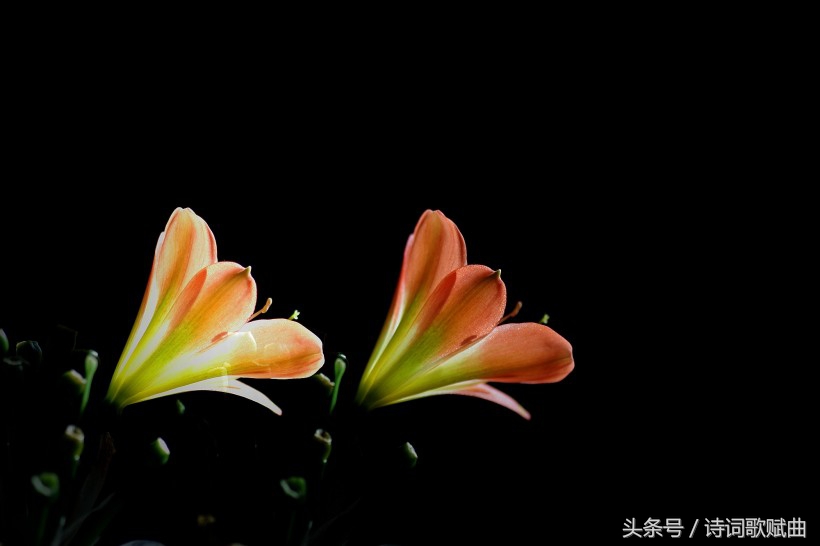 岳阳楼的诗句有哪些（赞美岳阳楼的10首著名诗词）