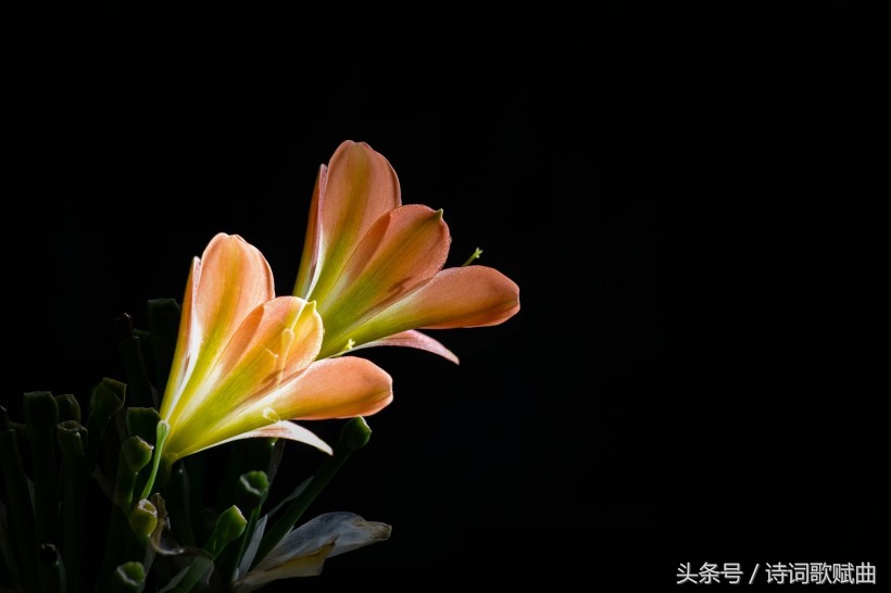 岳阳楼的诗句有哪些（赞美岳阳楼的10首著名诗词）