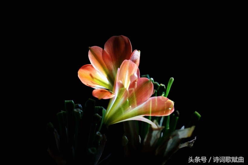 岳阳楼的诗句有哪些（赞美岳阳楼的10首著名诗词）