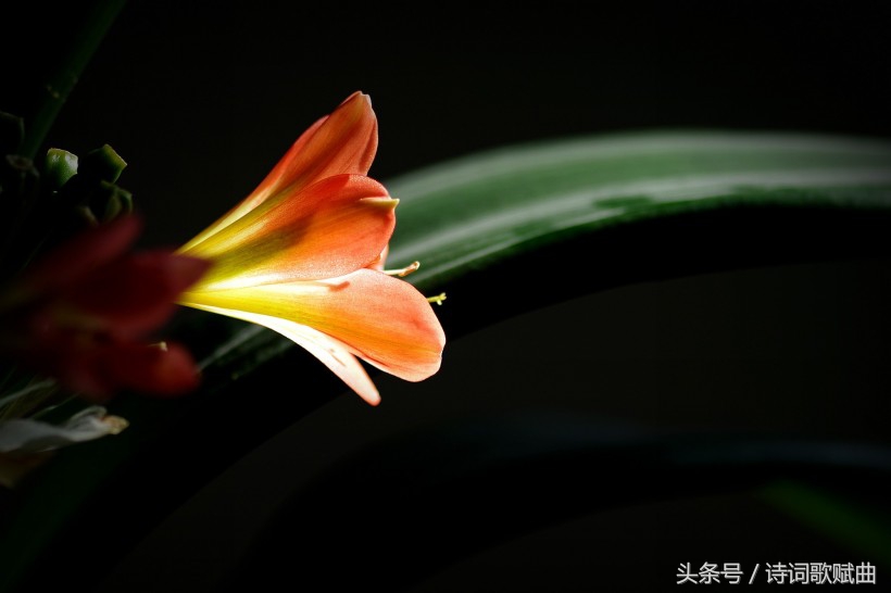 岳阳楼的诗句有哪些（赞美岳阳楼的10首著名诗词）