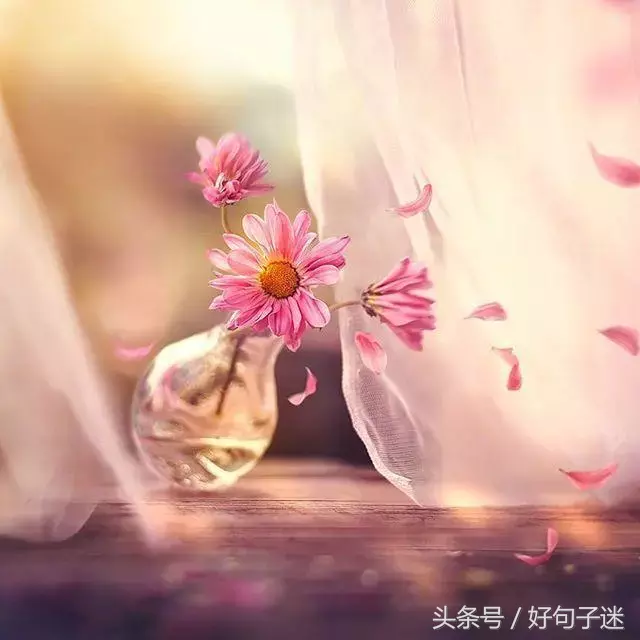 心情说说至自己感情（最值收藏的情感语录）