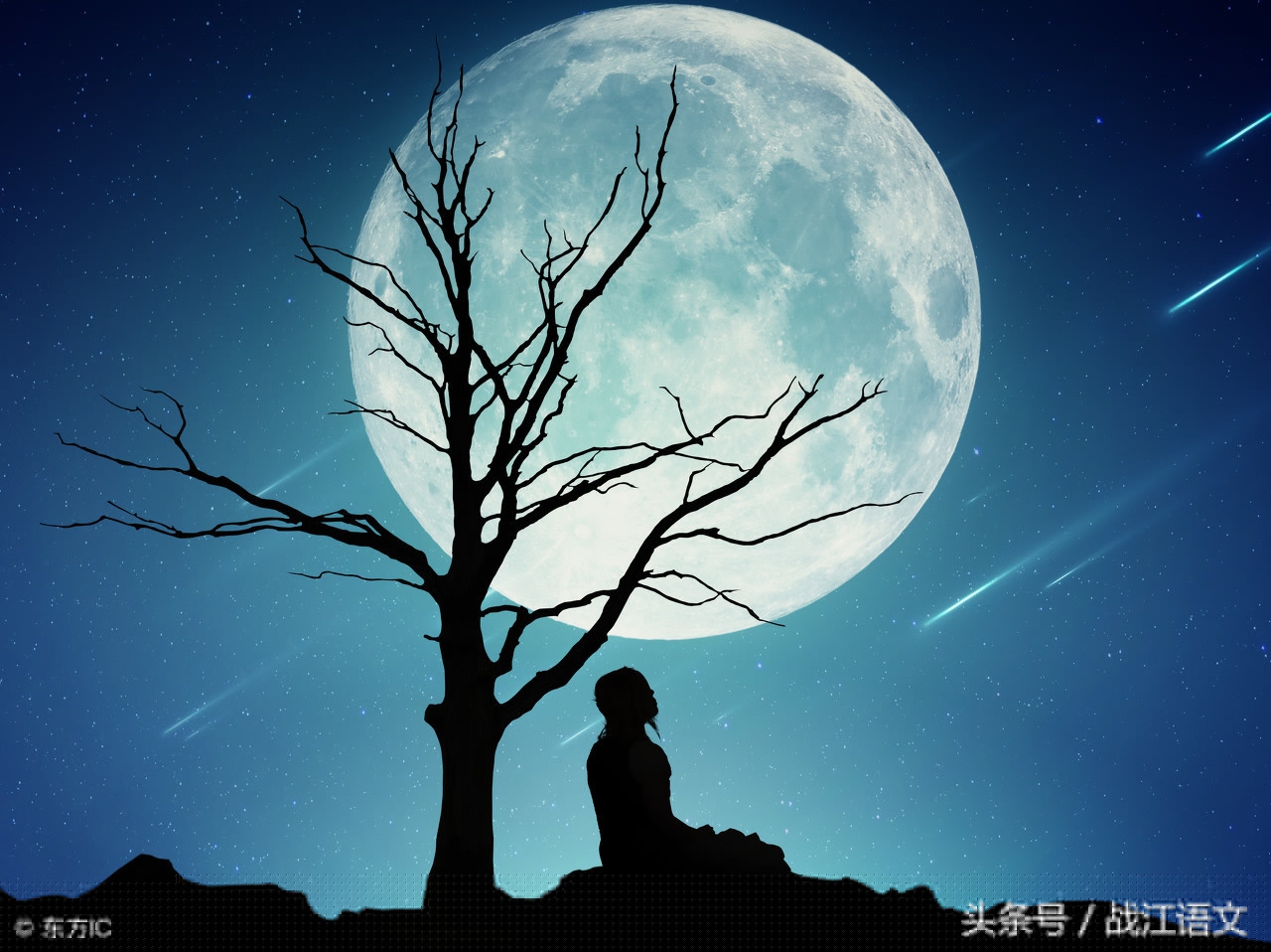 白居易望月有感的意思（望月有感全文赏析和解析）