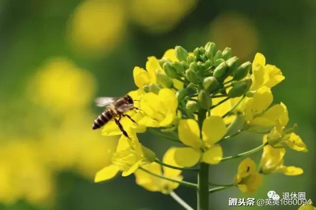 女生自己赞美自己的话（激励自己的经典句子）