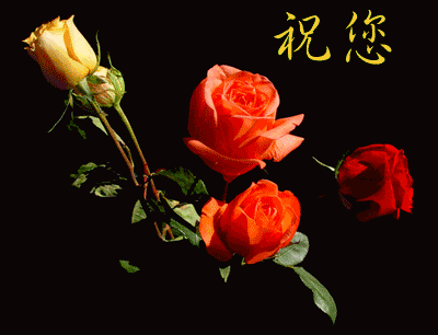 赞美人老心不老的句子（关于赞美人老心不老的句子）