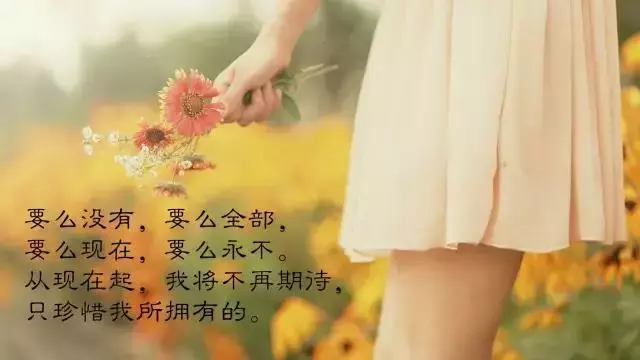 心情说说感悟生活（适合发朋友圈的心情短句）
