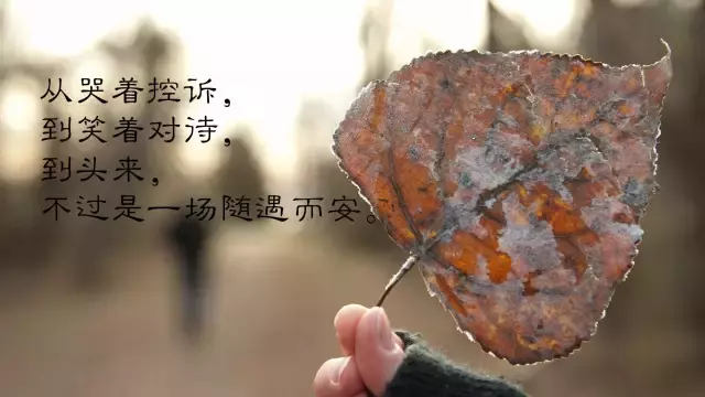 心情说说感悟生活（适合发朋友圈的心情短句）