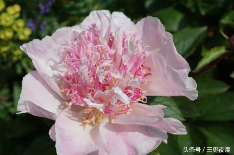 忘掉一切从头开始的说说（从头开始的正能量语句）