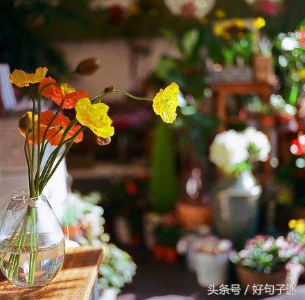 想对爸爸说简短的话（感恩爸爸暖心短句）