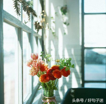 想对爸爸说简短的话（感恩爸爸暖心短句）