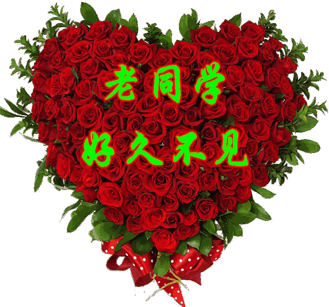 感谢同学陪伴的句子唯美（谢谢陪伴的感动说说）