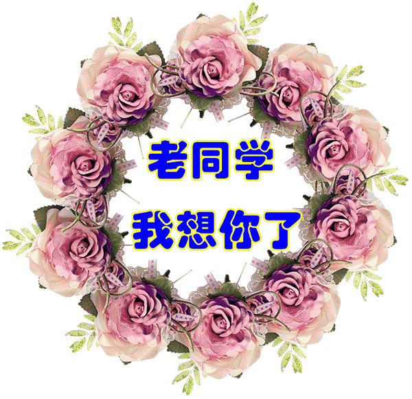 感谢同学陪伴的句子唯美（谢谢陪伴的感动说说）