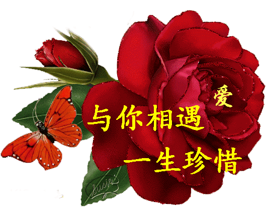 感谢同学陪伴的句子唯美（谢谢陪伴的感动说说）