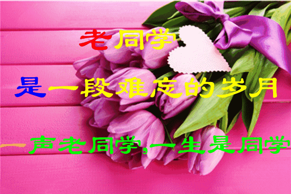感谢同学陪伴的句子唯美（谢谢陪伴的感动说说）