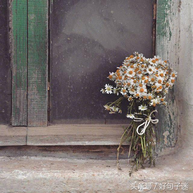 优美句子摘抄大全（坠入星河的温柔仙句）