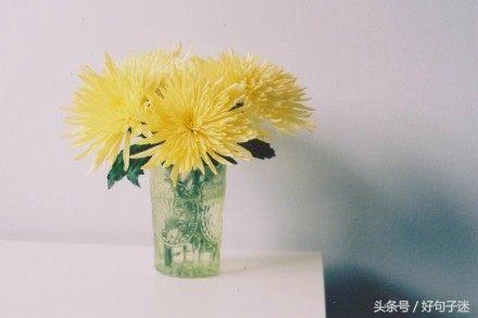 适合发qq空间说说心情语录（收藏这些qq吸引人的说说）