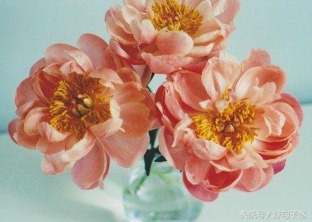 适合发qq空间说说心情语录（收藏这些qq吸引人的说说）