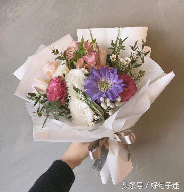 漂亮的句子说说（夸赞女子美貌的语句）