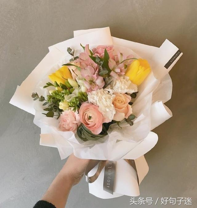漂亮的句子说说（夸赞女子美貌的语句）