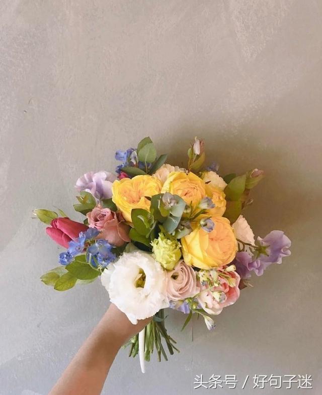 漂亮的句子说说（夸赞女子美貌的语句）