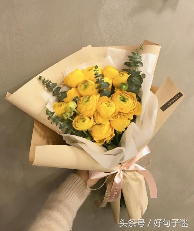 漂亮的句子说说（夸赞女子美貌的语句）