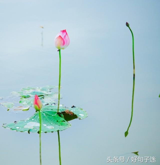 想一个人的句子说说（一句话让男人主动联系你）