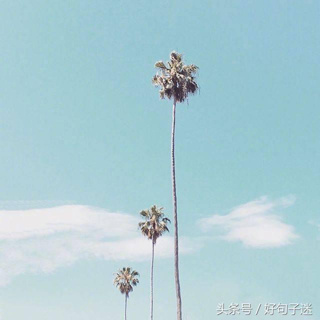 写自己人生的感言（看透人生的经典句子）