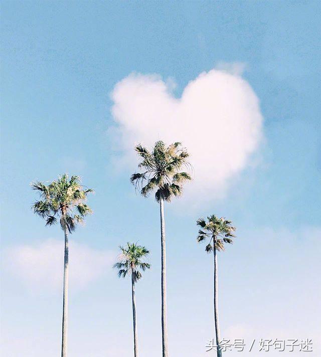 写自己人生的感言（看透人生的经典句子）