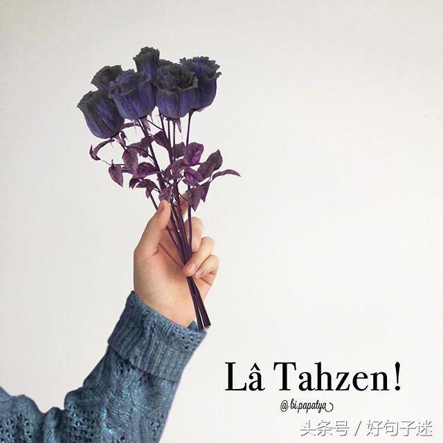 哲理句子唯美简短摘抄（励志的句子致自己简短）