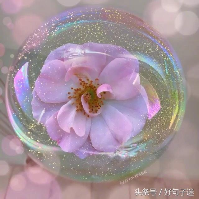 感情说说很现实的说说（分享很现实的感情说说）