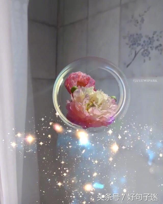感情说说很现实的说说（分享很现实的感情说说）