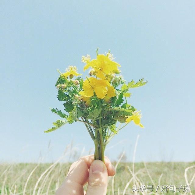 让人感动到哭的句子（送给女朋友一段感动到哭的话）