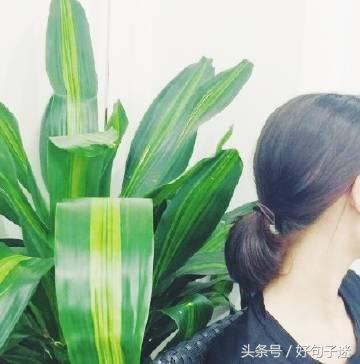 让人感动到哭的句子（送给女朋友一段感动到哭的话）