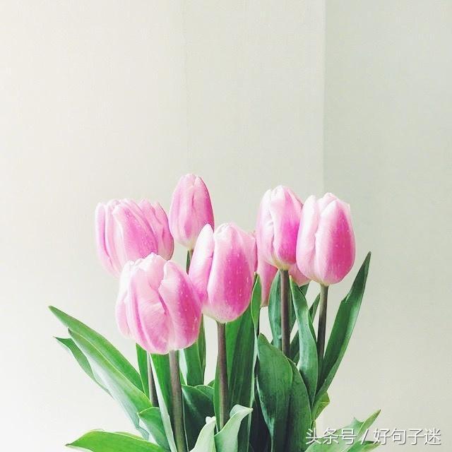 让人感动到哭的句子（送给女朋友一段感动到哭的话）