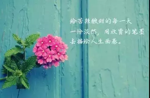 感叹人生的句子的说说（致自己的人生感悟句子）