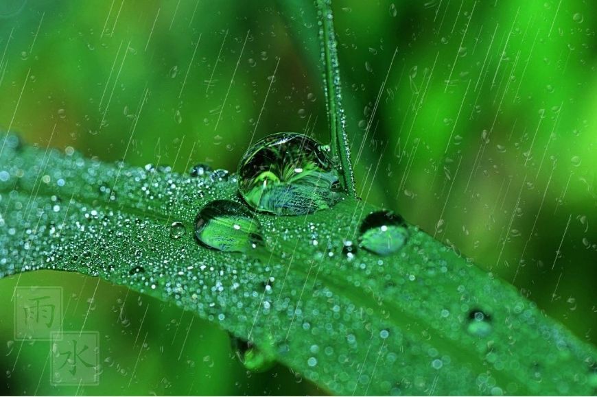 有关雨的诗句及情感（下雨天的撩人情话）