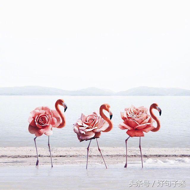 一句青春励志唯美句子（不负青春励志唯美短句）