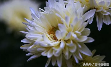 悼念亲人的话应该怎么写（亲人走了简短哀悼语）