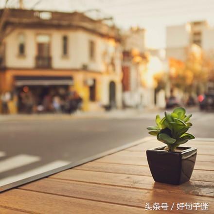 晚安忧伤的句子唯美短句（分享一瞬间心凉的句子）