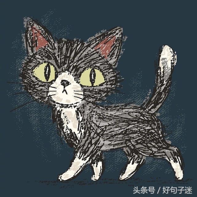 无奈的句子说说心情（关于无奈的经典好句子）
