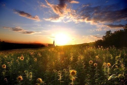 最残酷现实社会的经典句子（让人深思的27句现实短句）
