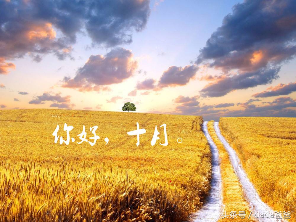 有关十月的诗句有哪些（形容十月的诗句唯美）