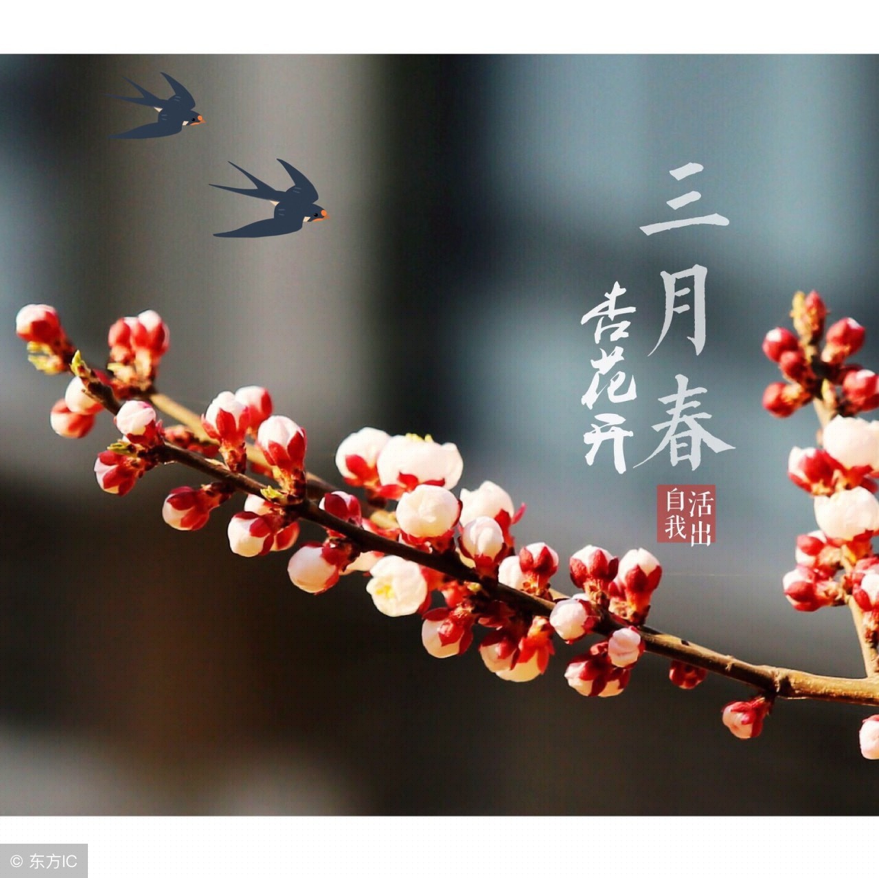 童心未泯的幽默句子（关于童心未泯的句子）