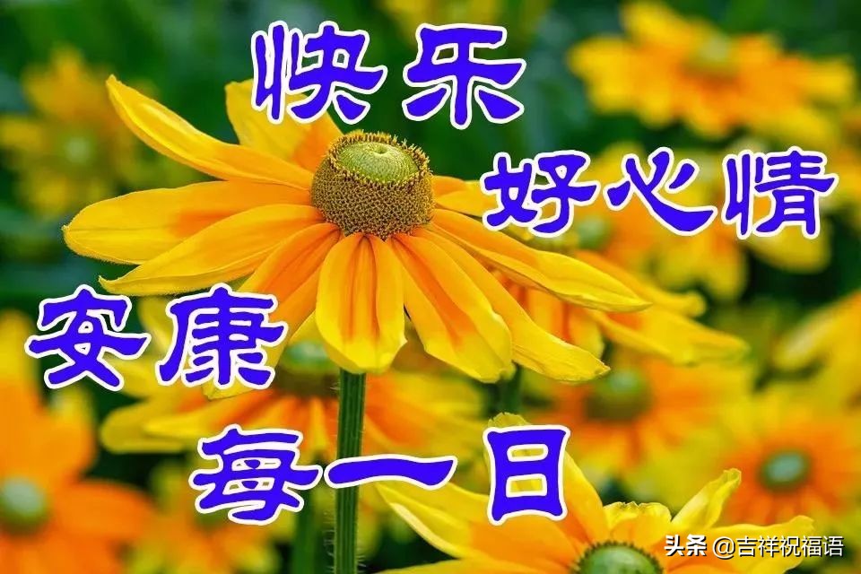 每天早上好短信问候语（一句早上好暖心的短语）