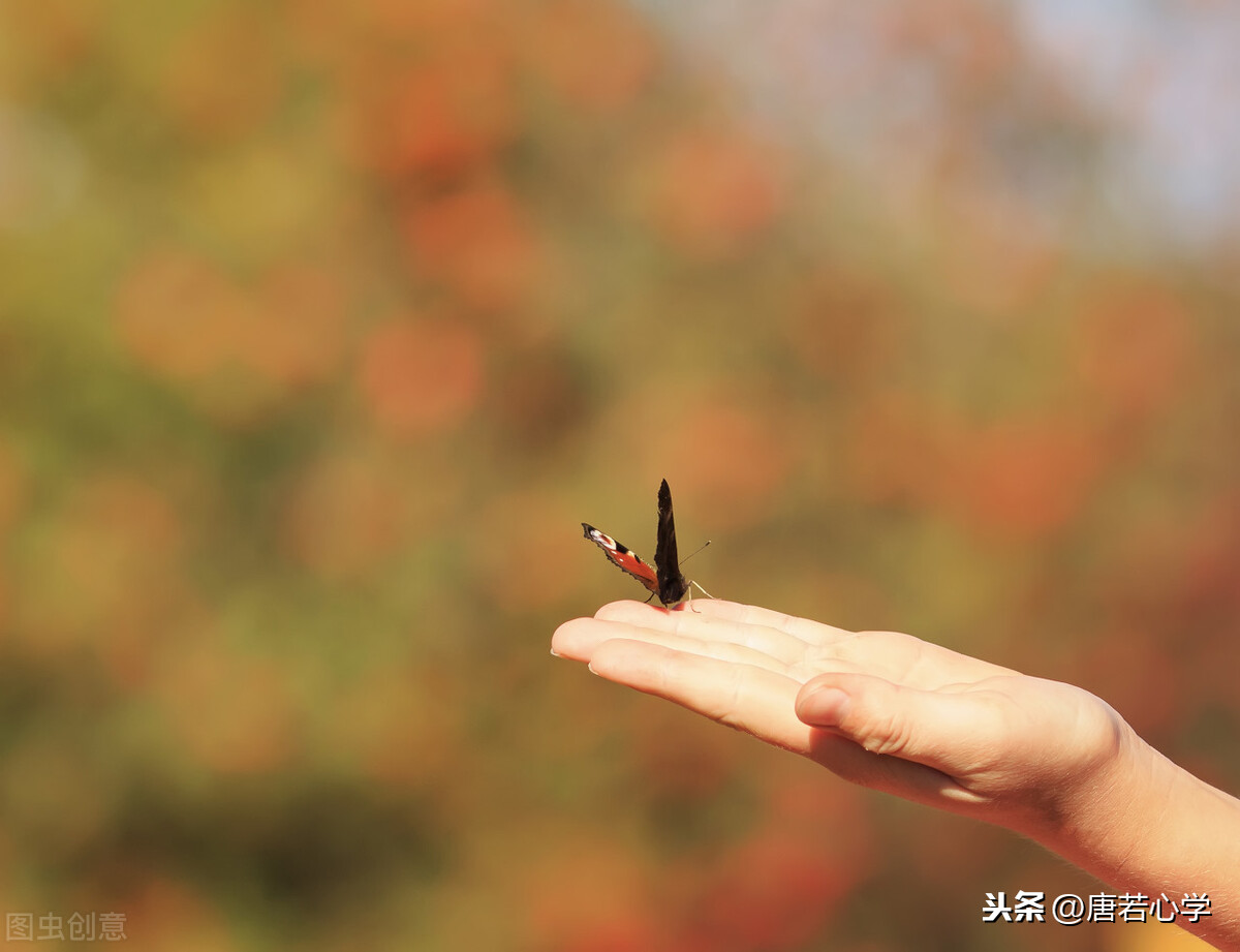 感恩生命的唯美句子（适合发朋友圈感恩的话）