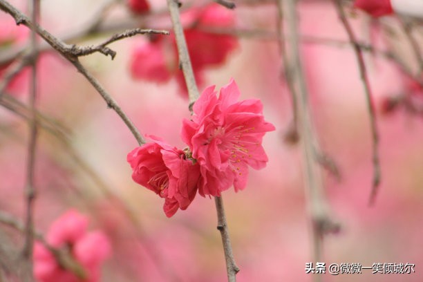 抖音励志阳光简短英语句子（适合抄写的英语美文）