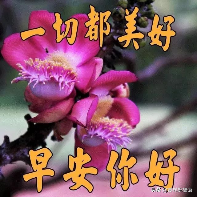每天早上好短信问候语（一句早上好暖心的短语）